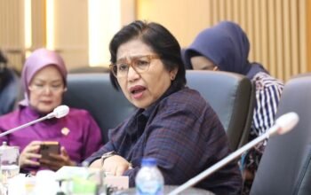 Irma Suryani Dorong Penguatan Layanan Kesehatan bagi Warga Terdampak Asap di Kalsel