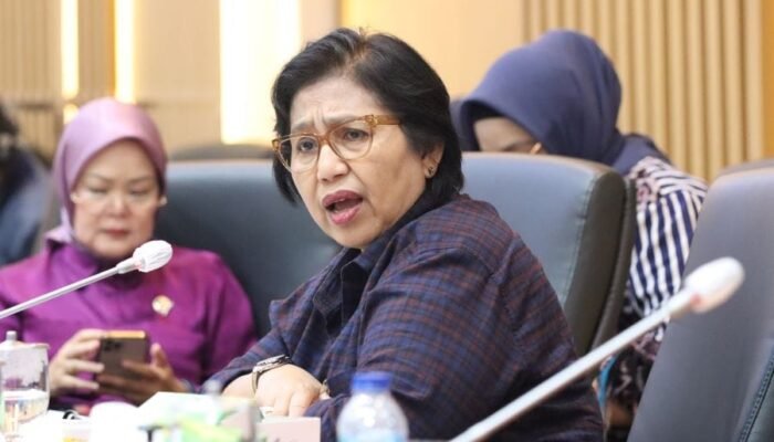 Irma Suryani Dorong Penguatan Layanan Kesehatan bagi Warga Terdampak Asap di Kalsel