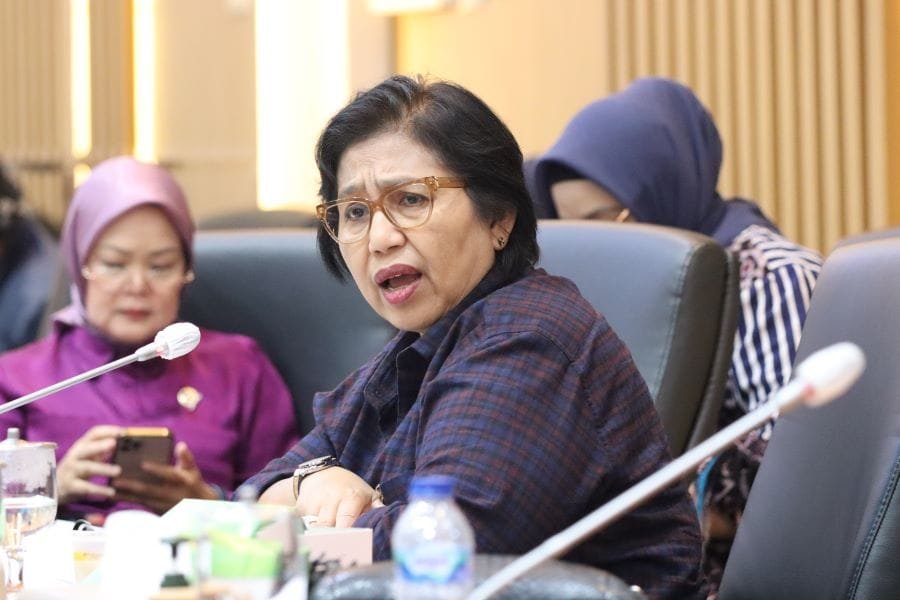 Irma Suryani Dorong Penguatan Layanan Kesehatan bagi Warga Terdampak Asap di Kalsel