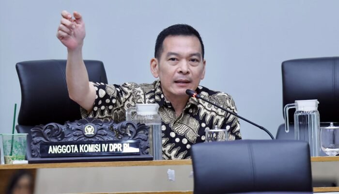 Hampir Empat Bulan Dilanda Karhutla, Daniel Johan Desak Pemerintah Lindungi Warga