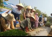 Kota Malang Hanya Andalkan 71,25 Hektare Cabai, Produksi 71 Ton Belum Mampu Penuhi Kebutuhan Warga