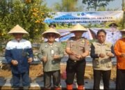 Lawan Lonjakan Harga Cabai, Pemkot Malang Tanam 4.000 Bibit di Tengah Ancaman El Nino