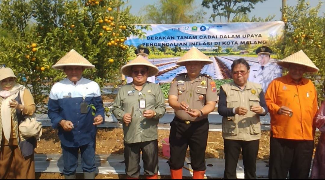 Lawan Lonjakan Harga Cabai, Pemkot Malang Tanam 4.000 Bibit di Tengah Ancaman El Nino