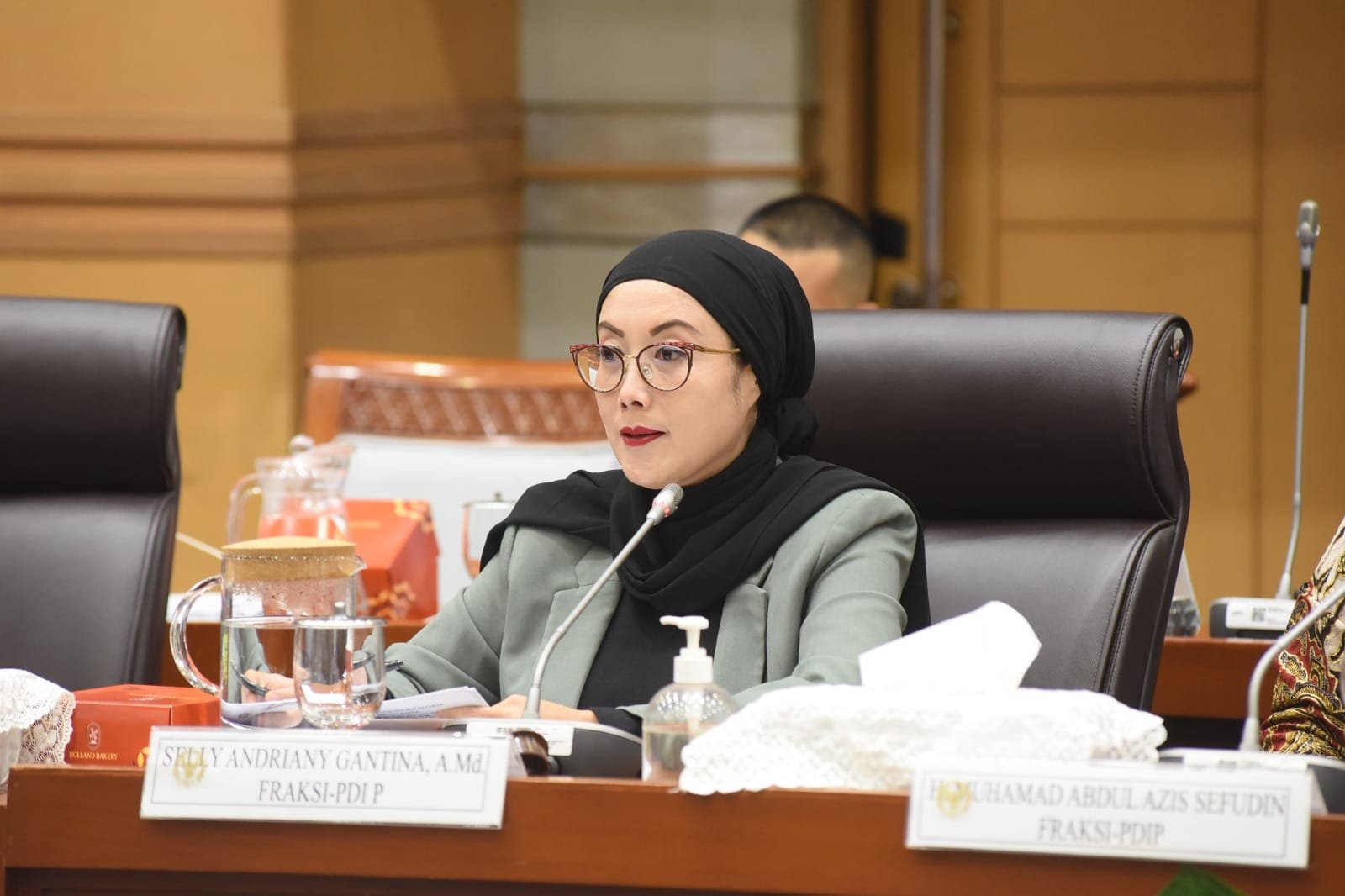 Karhutla Tembus 202 Ribu Hektare, Selly Desak BNPB Perkuat Mitigasi