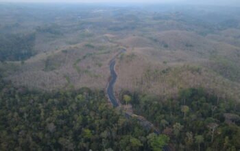Luas Hutan Lindung Malang Selatan Menyusut 489 Hektare, Sahabat Alam Indonesia Desak Area Preservasi