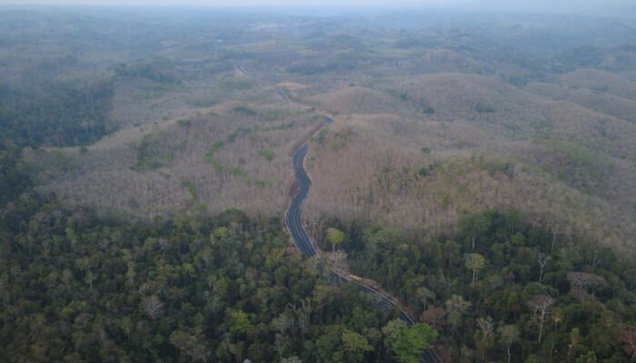 Luas Hutan Lindung Malang Selatan Menyusut 489 Hektare, Sahabat Alam Indonesia Desak Area Preservasi