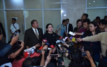 Pasien Karhutla di Kalteng Melonjak Tiga Kali Lipat, Puan Minta Layanan Kesehatan Diperkuat