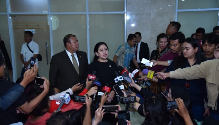 Pasien Karhutla di Kalteng Melonjak Tiga Kali Lipat, Puan Minta Layanan Kesehatan Diperkuat