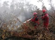 Enam Provinsi Nihil Hotspot, Pemerintah Kerahkan 61 Armada Udara Cegah Karhutla Kembali Meluas