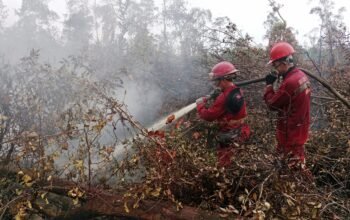 Enam Provinsi Nihil Hotspot, Pemerintah Kerahkan 61 Armada Udara Cegah Karhutla Kembali Meluas