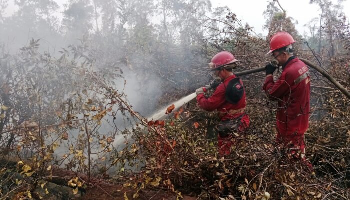 Enam Provinsi Nihil Hotspot, Pemerintah Kerahkan 61 Armada Udara Cegah Karhutla Kembali Meluas