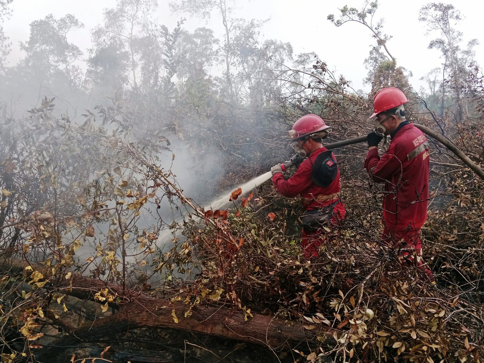 Enam Provinsi Nihil Hotspot, Pemerintah Kerahkan 61 Armada Udara Cegah Karhutla Kembali Meluas