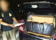 Distribusi Rokok Ilegal Lewat Jalur Tol Terbongkar, Bea Cukai Sita Barang Rp276 Juta