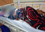 Kisah Muslihah: Pulang ke Jember Demi Program Berobat Gratis Bupati Fawait