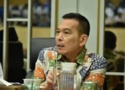 Daniel Johan Desak Korporasi Pelaku Karhutla Pulihkan Lahan, Jangan Bebankan Kerugian kepada Rakyat