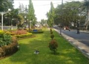 Perawatan Taman Kota Malang Dihimpit Anggaran, Petugas Pensiun Belum Diganti